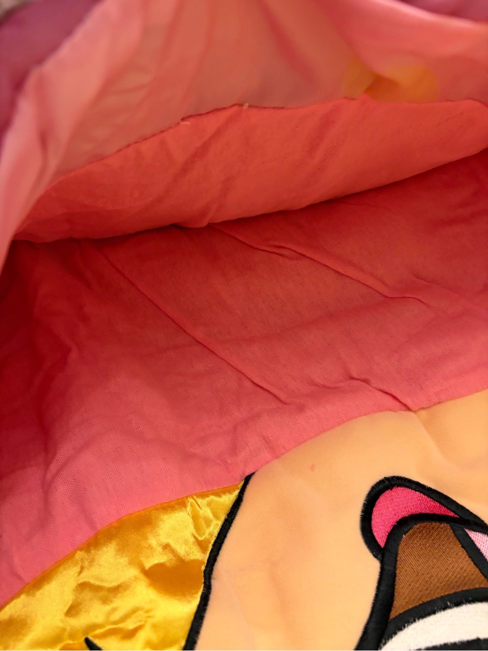 Vintage Disney Lizzie McGuire Sleeping Bag With Tote NWT - Picture 10 of 14